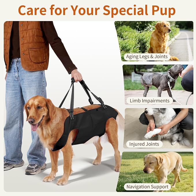Full Body Dog Lift Harness, Support Senior & Disabled Dogs Walking | Help Up & Down Stairs Grooming, Dog Sling Backpack, Front Hind Leg Joint Injuries, Reflective, Soft Padded Handle | Black, XL - Image 4
