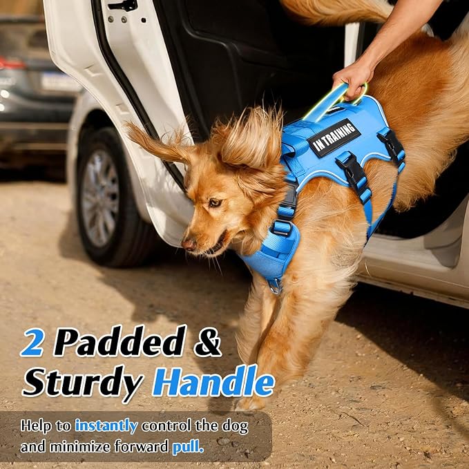 WINSEE Escape Proof Dog Harness with Double Handle+4 Removable Patches | Service Working Molle Harness with Double Handle for Small Dogs, Tactical Pet Reflective Vest for Walking Hiking Hunting - Image 3