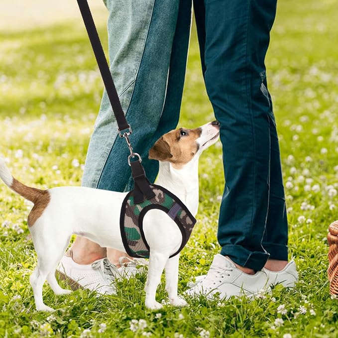 PUPTECK Dog Harness, Collar and Leash Set No Pull for Small Medium Sized | Soft Mesh Puppy Step-in Escape Proof Reflective No Choke Pet Cat Adjustable Walking Vest - Image 7