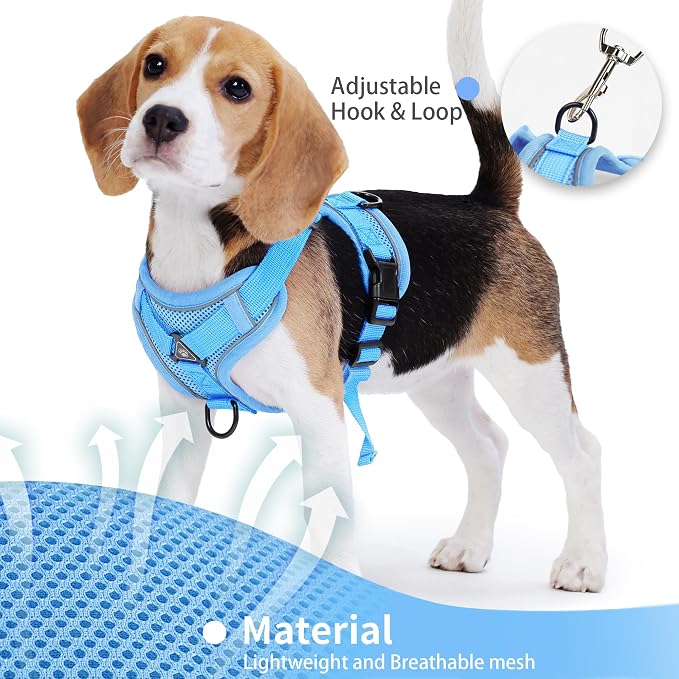 Dog Harness Small Sized Dog Pet Vest with Leash Set Blue S | Adjustable Puppy Vest Harness, No Choke No Pull, Soft Padded, Step-in Dog Vest, Reflective Cat Harness, Breathable Air Mesh - Image 4