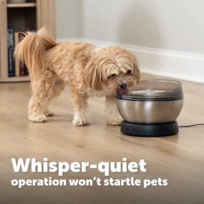 PetSafe HydroSphere 60 oz Stainless Steel Pet Fountain - Filtered Water Fountain for Cats and Small Dogs - Dishwasher Safe - Quiet, Wire-Free Pump - Easy to Clean - Image 4