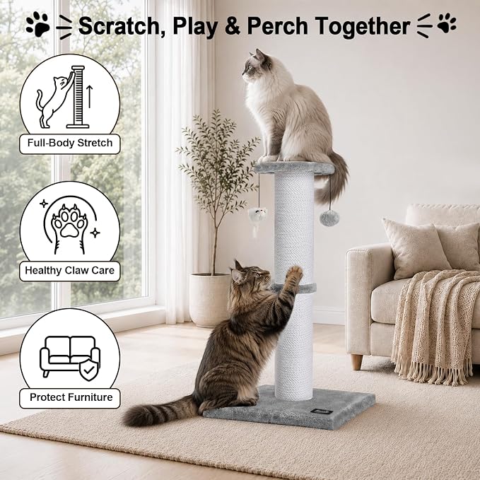 34"Tall Cat Scratching Post for Large Cats, Stable Base, Light Gray | Heavy-Duty Cat Scratcher, Extra-Tall Thick Post, Soft Natural Cotton Rope, Hanging Interactive Cat Toys, Indoor Cat Furniture - Image 3