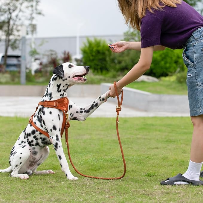 5FT Dog Leash Puppy Cat Rope Lead for Small Medium Large Dogs | Carmel Brown,with Anti-tangle Swivel Clip,Non-slip Grip Handle,Ideal for Daily Walks and Training - Image 7