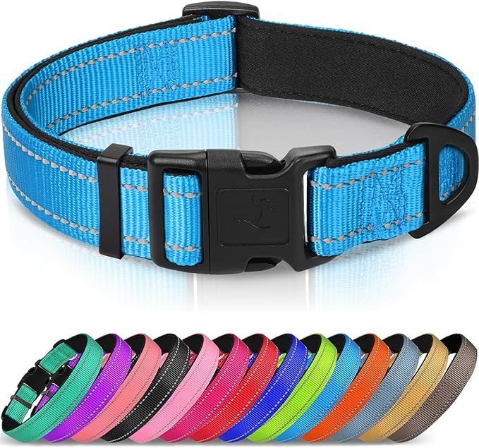 Joytale Reflective Dog Collar, Adjustable Neoprene Padded, Sky Blue S | Breathable Nylon for Small Dogs, No Chafing on Daily Walks and Training, Gentle on Neck, Secure Metal D-Ring, Night Safety by Joytale