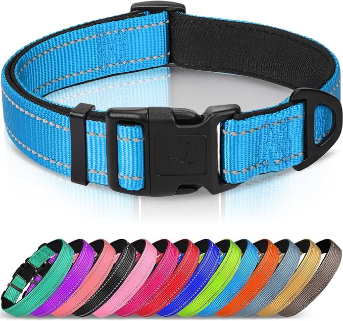 Joytale Reflective Dog Collar, Adjustable Neoprene Padded, Sky Blue M | Breathable Nylon for Medium Dogs, No Chafing on Walks and Backyard Play, All-Day Comfort, Metal D-Ring, Night Safety by Joytale