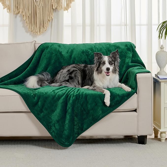 Soft Waterproof Blanket for Bed Couch Sofa, Green, 60x80 inches | Liquid Pee Proof Pet Blanket for Dog Puppy Cat, Reversible Sherpa Fleece Blanket for Couch Cover, Furniture Protector - Image 2