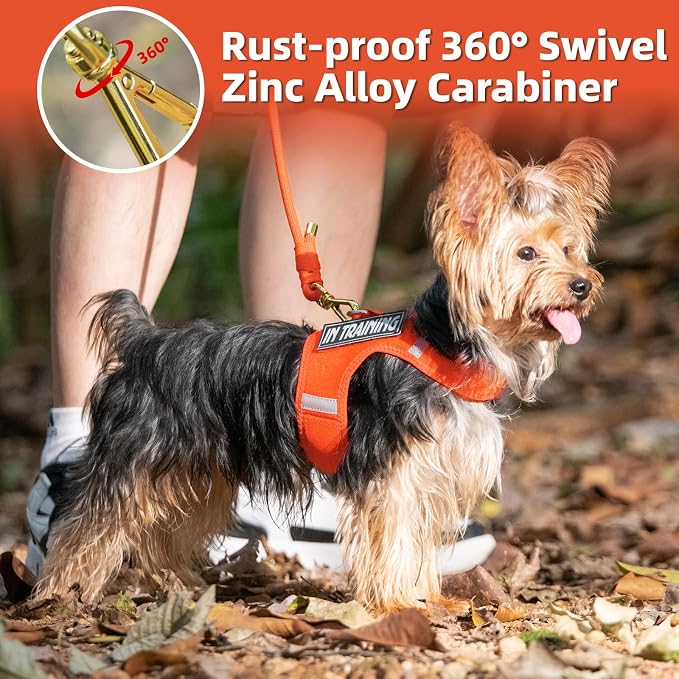 5FT Dog Leash 5/16 inch Puppy Cat Rope Lead | Orange, with Anti-tangle Swivel Clip, Comfortable Non-slip Grip Handle, Ideal for Daily Walks, for Small Medium Dogs - Image 6