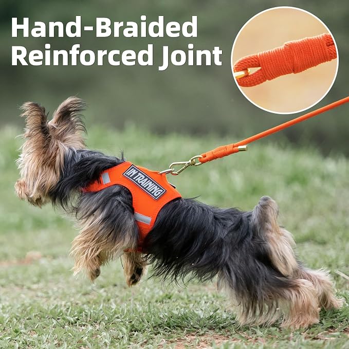 5FT Dog Leash 5/16 inch Puppy Cat Rope Lead | Orange, with Anti-tangle Swivel Clip, Comfortable Non-slip Grip Handle, Ideal for Daily Walks, for Small Medium Dogs - Image 3