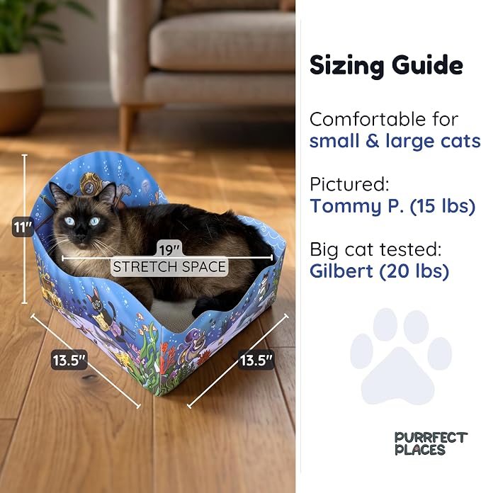 Themed Cardboard Cat House & Scratcher | Underwater Theme | Enclosed Privacy Bed and Premium Corrugated Scratch Pad for Small, Medium & Large Indoor Cats, 13.5 inches (Meow Reef) - Image 2