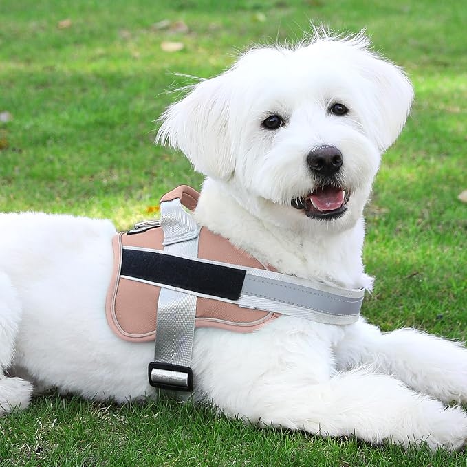 Dog Harness, No-Pull Reflective Dog Vest, Breathable Adjustable Pet Harness with Handle for Outdoor Walking - No More Pulling, Tugging or Choking - Image 8