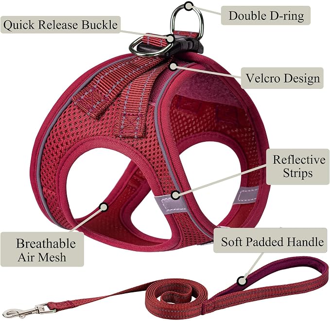 Dog Harness with Leash Set, Step-in Adjustable Puppy Pet Vest, Red XL | Lightweight Breathable Air Mesh, Night Safety Reflective, No Pull Puppy Vest Harnesses for Small Medium Large Dogs, Cats - Image 2