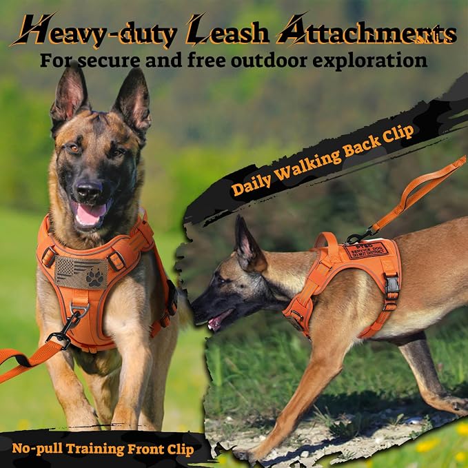 rabbitgoo Tactical Dog Harness for Small Dogs, No Pull Service Pet Vest | Military Molle System & Easy Control Handle, Adjustable and Reflective for Walking and Training, Orange, Small - Image 7