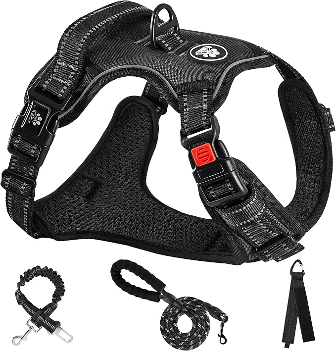 NESTROAD No Pull Dog Harness,Adjustable Oxford Dog Vest Harness with Leash,Reflective No-Choke Pet Harness with Easy Control Soft Handle for Small Dogs(X-Small,Black) by NESTROAD