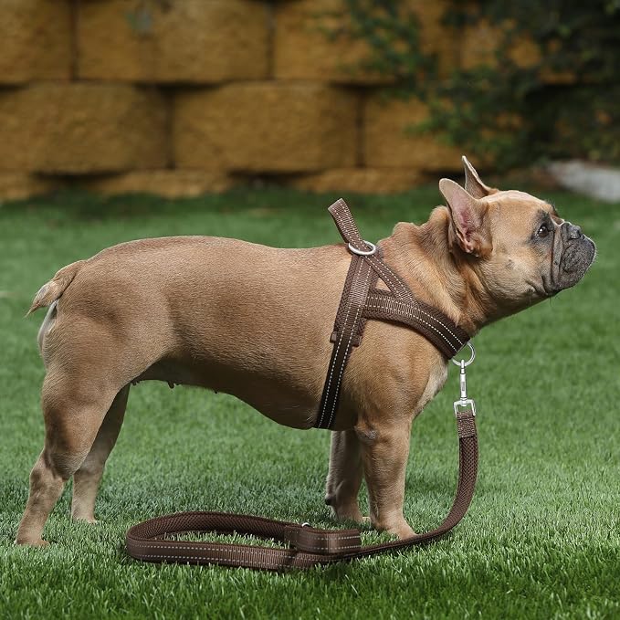 Plutus Pet No Pull Dog Harness for Puppy Small Dogs, Breathable Mesh Padded | Adjustable Reflective with Handle, Escape Proof, Quick Fit Pet Vest, Front Clip, for Training and Walking, Chocolate, XS - Image 5