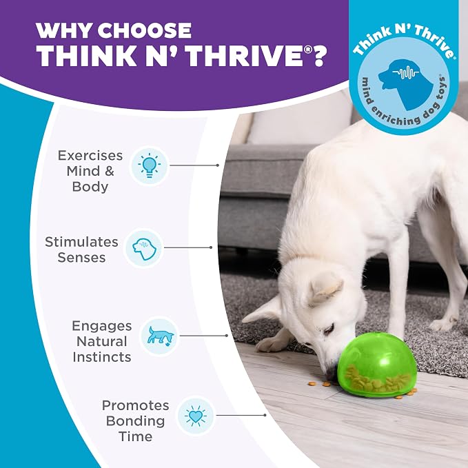 Outward Hound by Planet Dog Snoop Dog Toy – Treat‑Dispenser Puzzle Ball,Interactive Slow Feeder,Medium to Large Dogs,Bouncy & Mint-Infused,Green,5",(Pack of 2) - Image 7