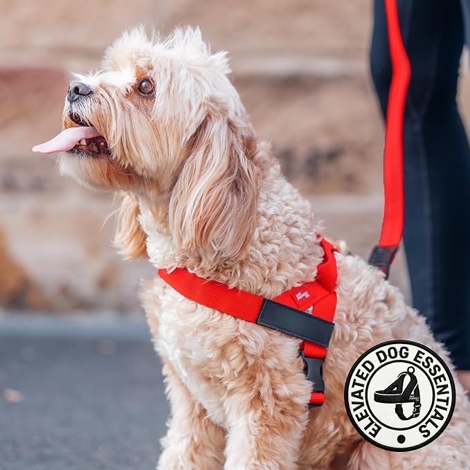 Dog Friendly Co. Dog Harness for Medium Dogs, Adjustable (Red, Medium) | One Click Buckle, Chafe Resistant Webbing, Adjustable Neck & Chest, and Heavy Duty D-Ring, Sturdy Comfortable and Easy to Use - Image 5