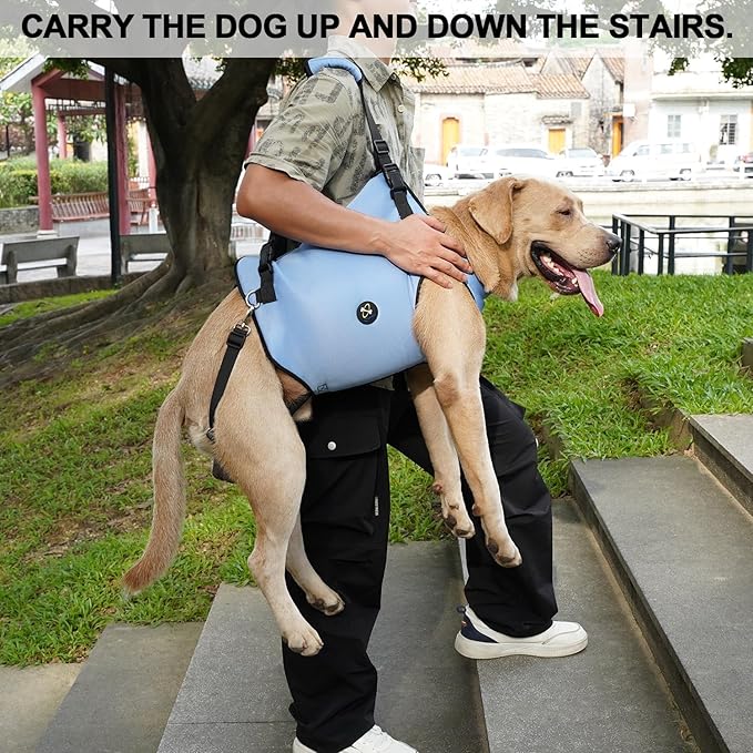 Coodeo Dog Lift Harness, Pet Support & Rehabilitation Sling Lift Adjustable Padded Breathable Straps for Old, Disabled, Joint Injuries, Arthritis, Loss of Stability Dogs Walk (Blue, 2XL) - Image 4