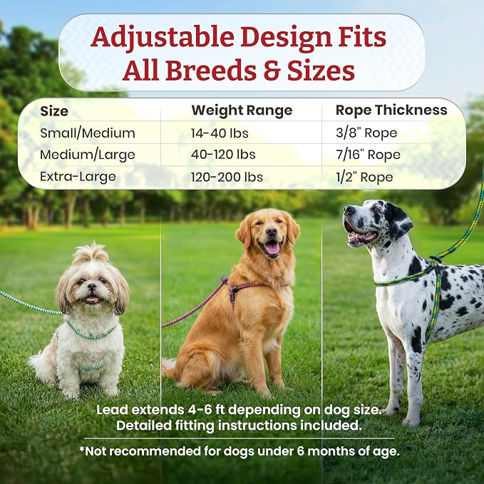 Harness Lead No Pull Dog Harness and Leash Set, Anti Pull Dog Harness, One-Piece Cushioned Rope Safely Prevents Escaping and Pulling (Small/Medium, Pink/Purple) - Image 6