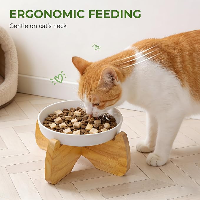 Raised Ceramic Cat Bowl 6.3" Wide Shallow Flat Bottom (2 Pack) | Neck Protective, Anti Whisker Fatigue, Anti Vomit, Dishwasher Safe, For Dry and Wet Food, For Kittens & Seniors - Image 4