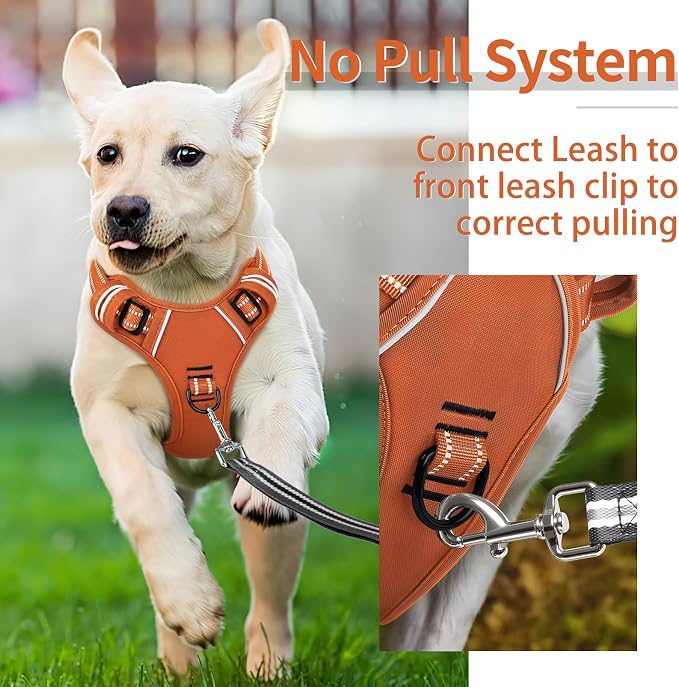 HEELE Dog Harness for Small Dogs No Pull Dog Vest Harness for Small Dog with Soft Padded Handle Reflective for Outdoor Training, Pumpkin Orange, S | Soft Breathable Padded Pet Vest, No Pull No Choke, Adjustable 2 Metal Rings for Outdoor Walking Training - Image 4