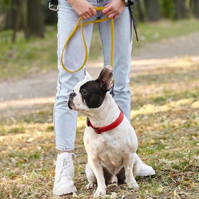 Dogline Biothane Waterproof Dog Leash Strong Coated Nylon Webbing with Black Hardware Odor-Proof Easy to Clean High Performance for Small or Large Dogs Made in USA 4 or 6 ft Lead, Treasure Gold - Image 7