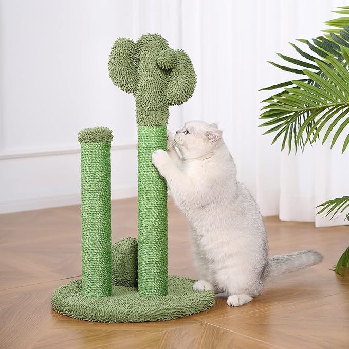 Amazon Basics Cat Scratching Post, Indoor Cactus Triple Posts for Cats & Kittens with Dangling Ball, Large, 27"H, Green - Image 6
