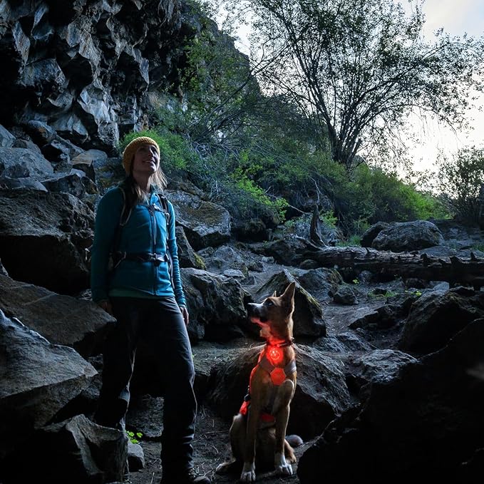 Ruffwear, Beacon Safety Light for Dogs, Rechargeable, Clear Lake | Durable & Waterproof, High Performance Safety Light Visible in Low-Light Conditions or Inclement Weather, 3 LED Color Options - Image 7