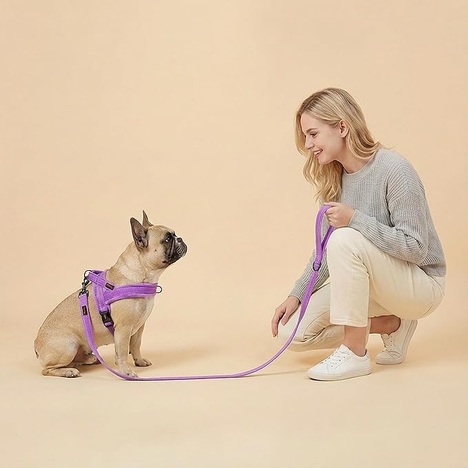 Didog 6FT Reflective Dog Leash for Small Medium Dogs,Slim 5/8" Width,Purple | Soft Padded Handle, Plush Comfort Grip, Tangle-Free, 360° Swivel Clasp for Daily Walking and Training, Night Safety - Image 3