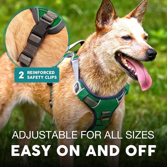 Embark No Pull Dog Harness, Reflective Adjustable Training Vest, No Choke | Adjustable straps fit all dog breeds with sturdy hooks; 360° reflective trim, soft padded Harness Design for All Dogs - Image 4