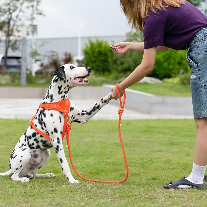 5FT Dog Leash Puppy Cat Rope Lead for Small Medium Large Dogs | Orange, with Anti-tangle Swivel Clip, Traffic Non-slip Grip Handle for Extra Control, Ideal for Daily Walks and Training - Image 8