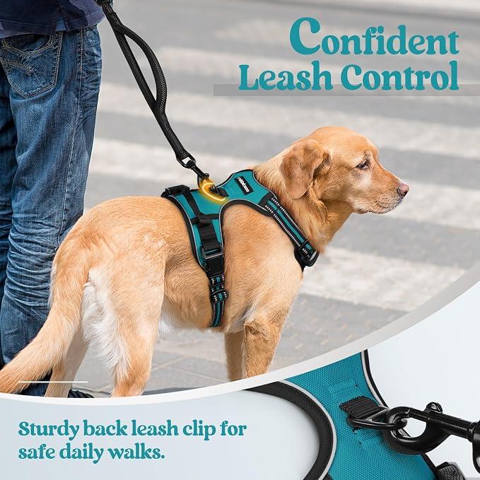 rabbitgoo Dog Harness, No Pull Medium Sized with 2 Leash Clips, Pet Vest | No Choke with Handle, Adjustable Soft Padded, Reflective, Easy Control for Walking, Teal, Medium - Image 6