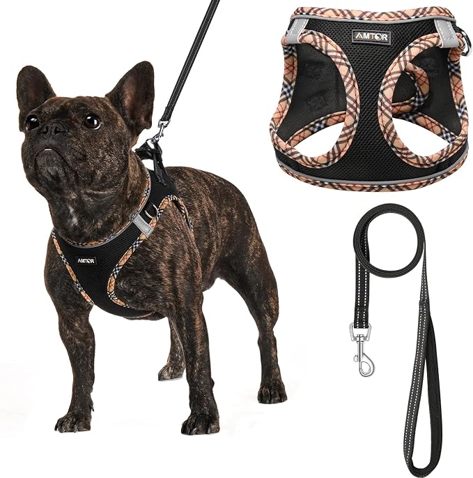 AMTOR Small Dog Harness with Leash Set, No Escape Easy Walk Puppy Harnesses for Training Walking, Step-in Reflective Soft Dogs Vest for XS S Medium Extra-Small Large Sized Dog(BlackYellow,XS) by AMTOR