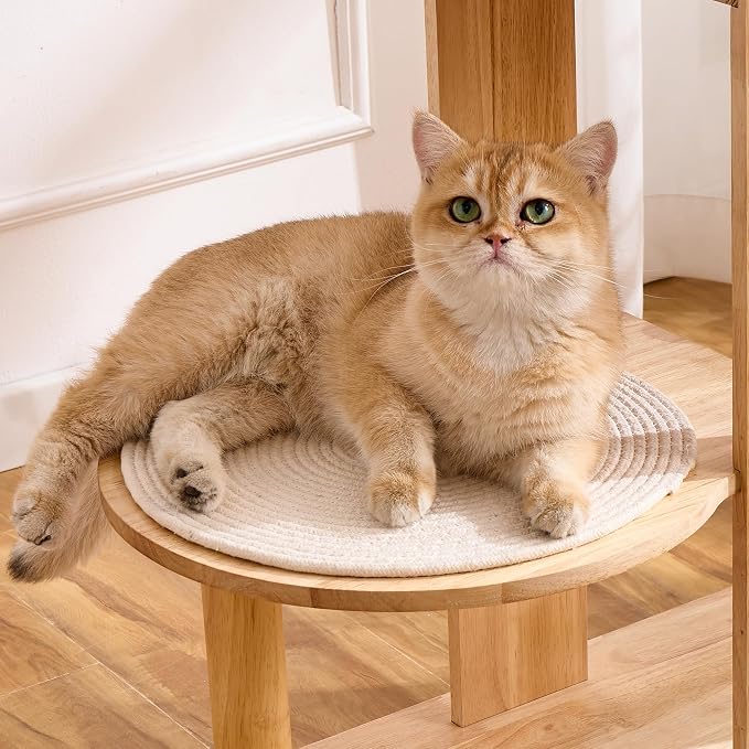 Solid Wood Cat Tree Tower with Scratching Post, 64 Inches Tall Cat Towers with Scratching Board, Modern Cat Tower with Space Capsule and Removable Top Bed for Indoor Cats - Image 7