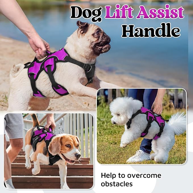 rabbitgoo Escape Proof Dog Harness for Small, No Pull with Lift Handle | No Escape, Full Soft Padded, Reflective Adjustable Vest, Leash Clip for Walking Hiking Training, Purple, Small - Image 3