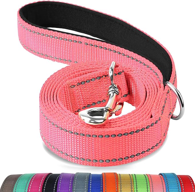 Joytale Reflective Dog Leash for Small Dogs, 6 FT x 3/4", Neon Pink | Heavy Duty Nylon Webbing, Padded Handle for Comfort, Visible at Night, for Walking & Training by Joytale