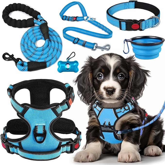 LOBEVE No Pull Dog Harness, Collar & Leash Set with Travel Accessories | Includes Dog Seat Belt, Collapsible Bowls & Poop Bag Dispenser. Ideal for Training, Walking, Hiking. Fits Small to Large Dogs by Lovebegetslove