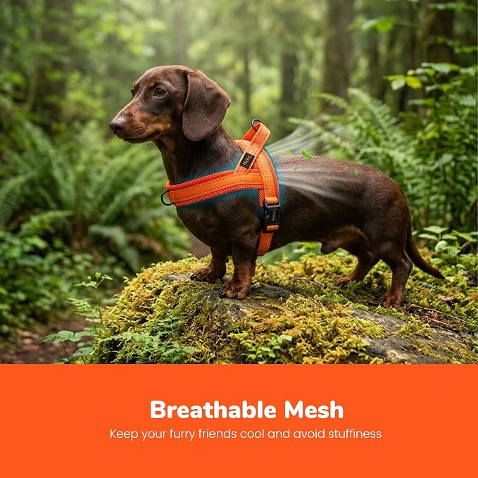 No Pull Dog Harness for Small Dogs, Breathable Mesh Padded, Orange,XS | Quick Fit, Easy On and Off, Lightweight, Reflective Vest Harness for Night Safty, Easy for Walking and Training, Chest 15-18" - Image 2