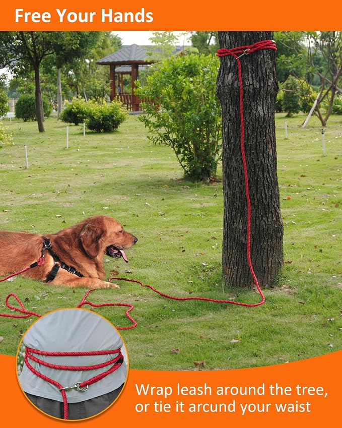 Long Dog Leash for Training 10FT/16FT/20FT/30FT/50FT/100FT, Reflective Tie Out, Heavy Duty Dog Lead for Large, Medium & Small Dogs - Outside Walking, Playing, Camping, Yard - Image 7