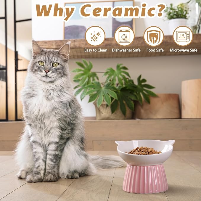 Ceramic Raised Cat Bowl，Tilted Raised Bowl Anti Vomit for Indoor Cats Whisker Friendly Pet Feeder for Cats Puppies, Microwave and Dishwasher Safe (Blue) - Image 6