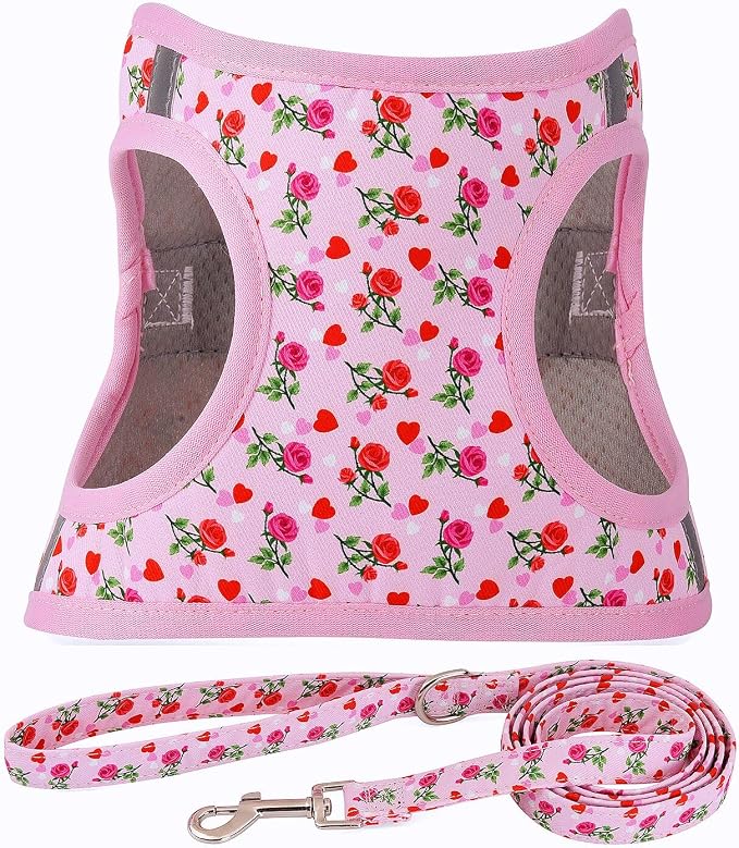 Step in Valentine's Day Dog Harness Leash Set- All Weather Reflective No-Pull Floral Pattern Padded Mesh Vest Harness for Cats Puppy Extra-Small Small Medium Large Dogs - Heart Rose - L by MOONPET