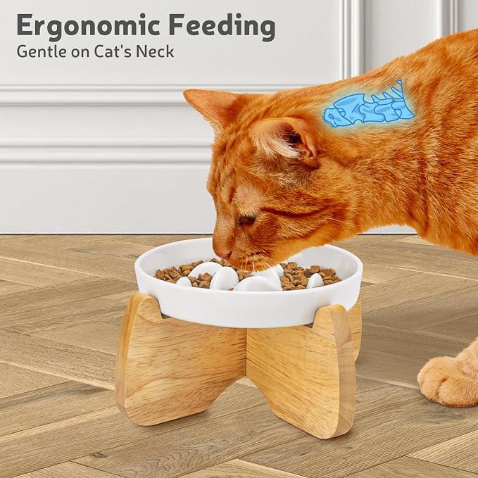 Raised Ceramic Slow Feeder Cat Bowl 6.3" Wide with Stand (1 Pack) | Anti-Gulping & Keep Fit, Dishwasher Safe, For Dry and Wet Food, For Cats and Small Dogs, Shallow Bottom Puzzle Feeder - Image 5