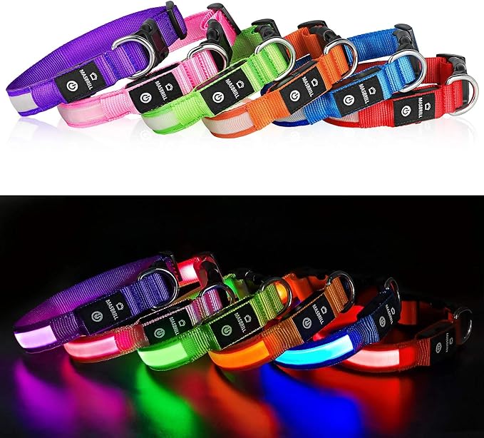 MASBRILL LED Dog Collar - Light Up Dog Collars Rechargeable - Waterproof Night Walking Glowing Dog Collar for Small, Medium, Large Dogs - Image 7