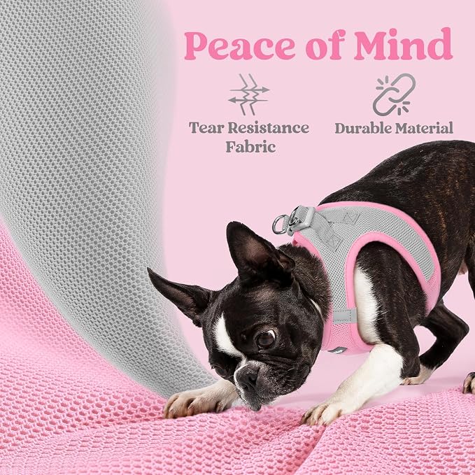 rabbitgoo Step-in Small Dog Harness, Puppy Vest for Small Medium Sized Pet | Easy Put on and off, Lightweight, Soft, Breathable Quick-Dry Air Mesh for Comfortable Secure Walking, Light Pink & Gray L - Image 7
