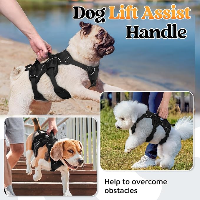 rabbitgoo Escape Proof Dog Harness for Small, No Pull with Lift Handle | No Escape, Full Soft Padded, Reflective Adjustable Vest, Leash Clip for Walking Hiking Training, Black, Small - Image 3