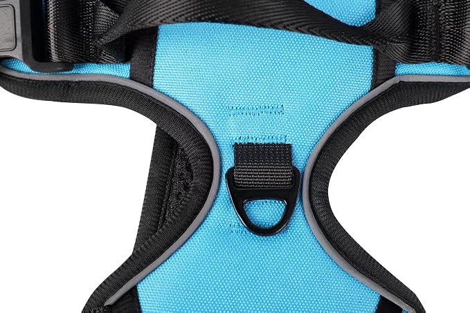 Blue No-Pull Dog Harness with 2 Leash Clips，Soft Padded Vest for Large Dog, Adjustable Reflective Dog Vest Easy to Put on and Take Off, (Neck: 17"~24", Chest: 24"~32",Blue L) - Image 5
