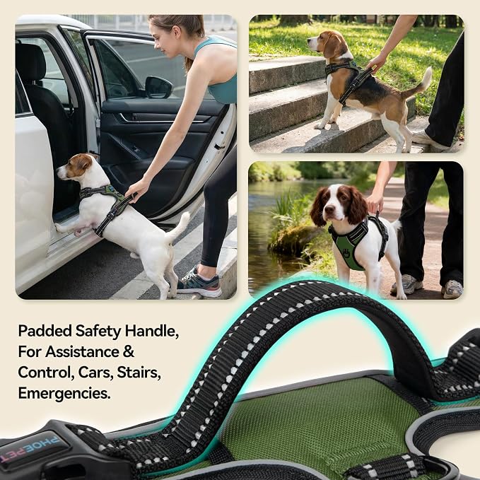 No Pull Dog Harness with Handle Reflective Padded Vest | for Small Medium Large Dogs, Adjustable Puppy Harnesses with Front & Back Clip Easy Walking (S, Misty Green) - Image 4