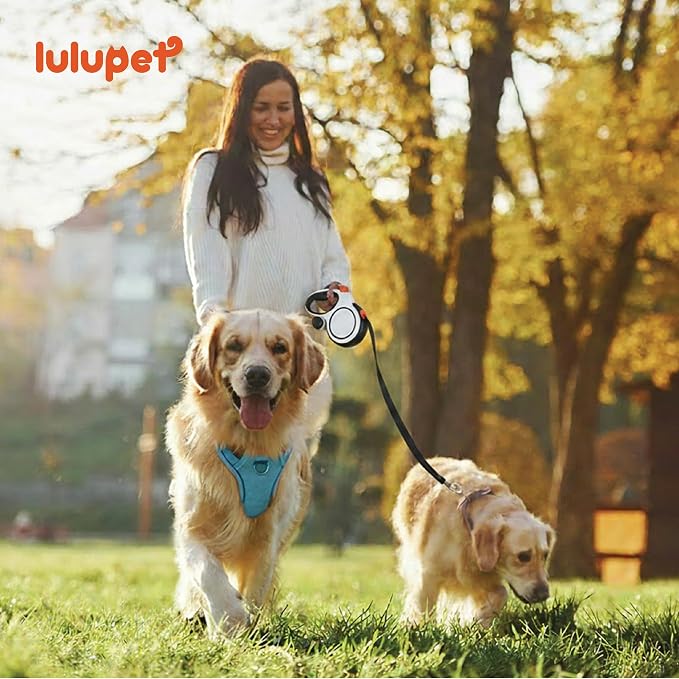 Dog Harness and Leash Set with Collar, No Pull Reflective Pet Vest Harness with Control Handle for Medium Large Dogs Walking and Training - Image 6