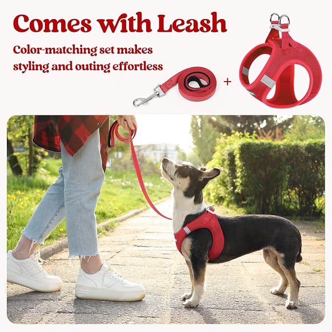 rabbitgoo Dog Harness Medium Sized and Leash Set, Step-in Puppy Pet Vest | Light, Soft, Breathable Air Mesh, Easy on and Remove with Hook & Loop, Secure Reflective for Walking, Red XXL - Image 5