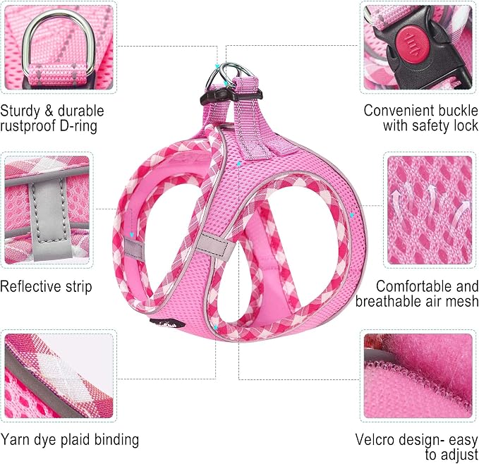 haapaw Dog Harness with Leash Set, No Pull Adjustable Reflective Step-in Puppy Harness with Thickened Padded Vest for Extra-Small/Small Medium Dogs - Image 2