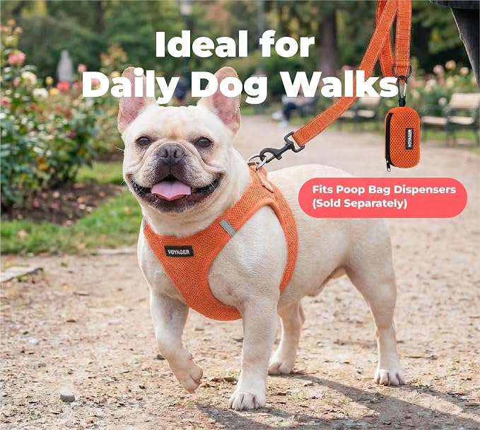 Best Pet Supplies Voyager Nylon Dog Leash - Orange, Small | 5ft in Length, 5/8" in Width, Reflective, Soft Neoprene Handle, Heavy Duty Metal Clips for Running, Walking & Training - Image 3